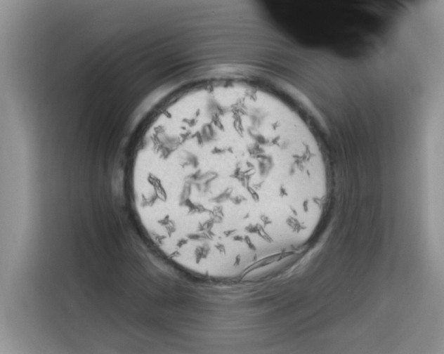 X0000113021066200910081155