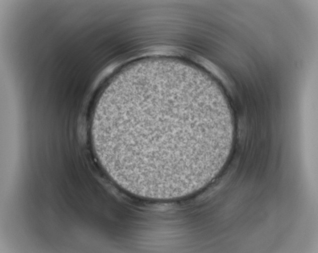 X0000113021067200910081155