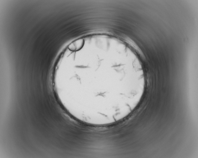 X0000113021068200910081155