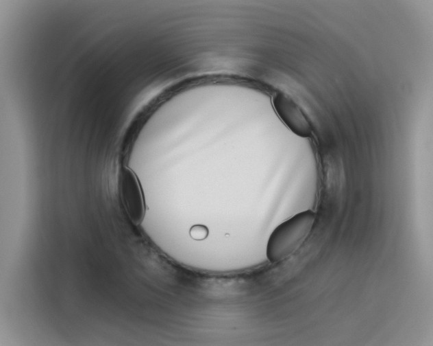 X0000113021069200910081155