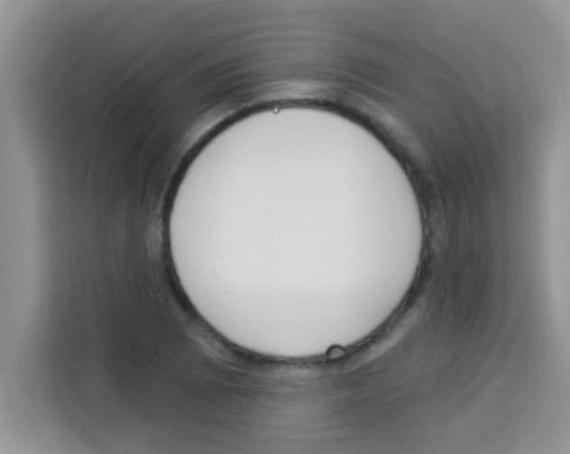 X0000113021073200910081155