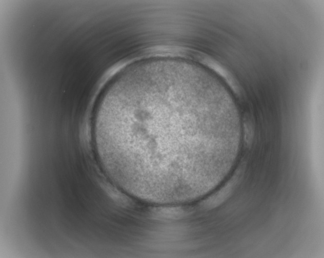 X0000113021074200910081155