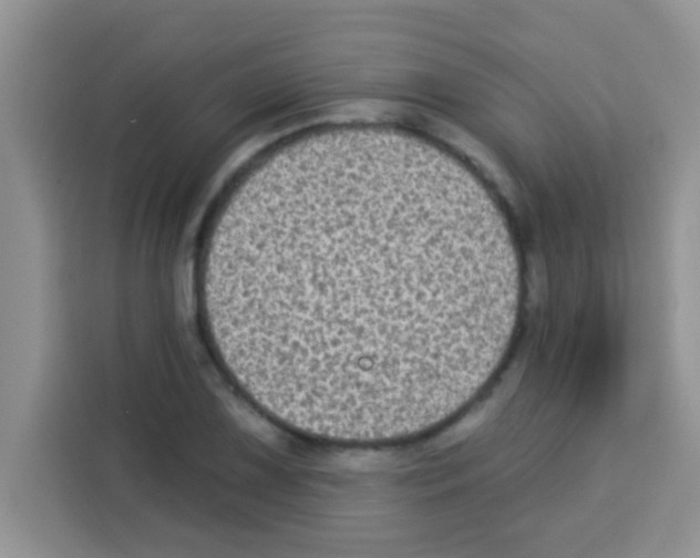 X0000113021075200910081155