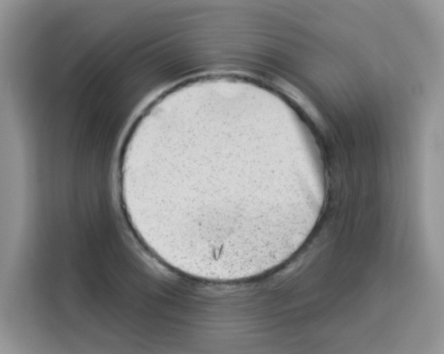 X0000113021076200910081155