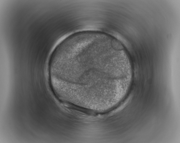 X0000113021077200910081155