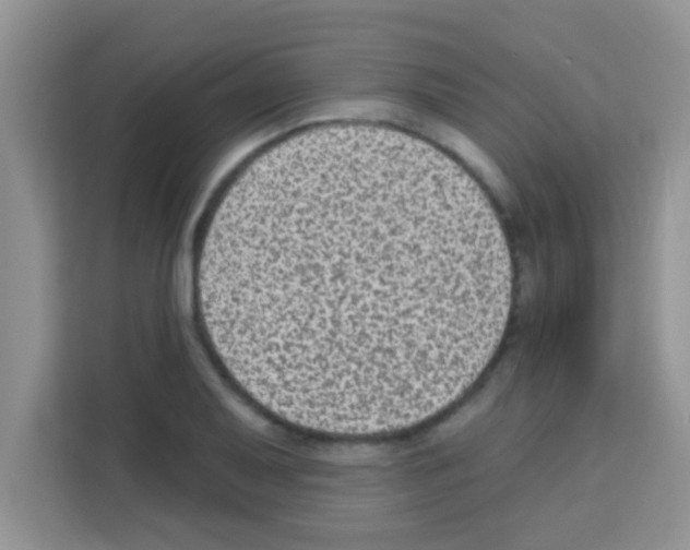 X0000113021079200910081155