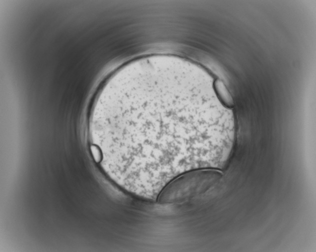 X0000113021080200910081155