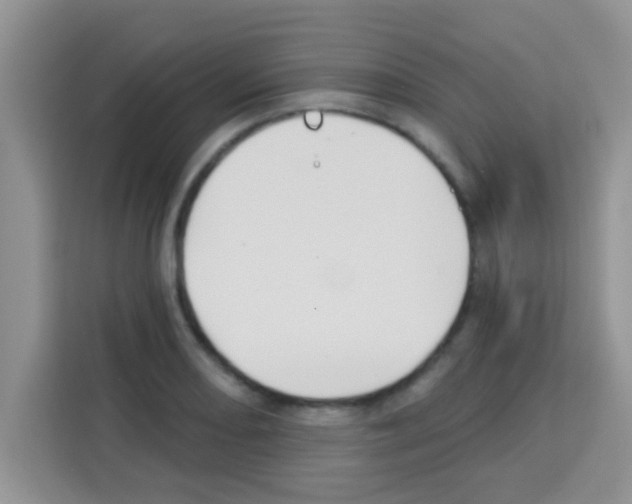 X0000113021082200910081155