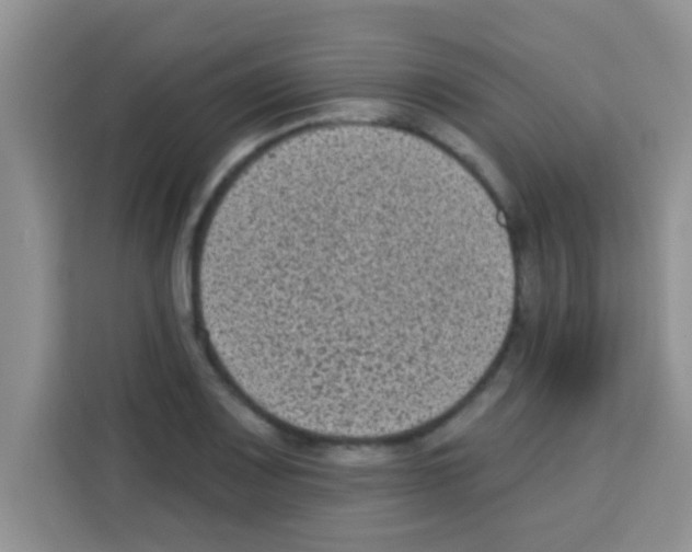 X0000113021083200910081155