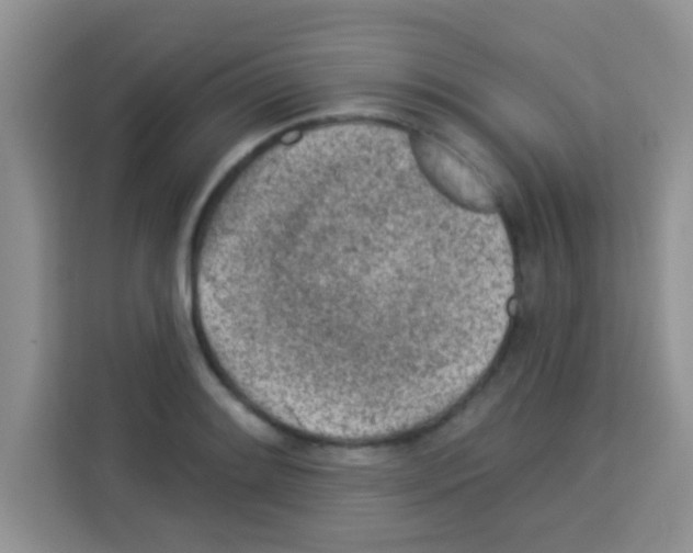 X0000113021084200910081155