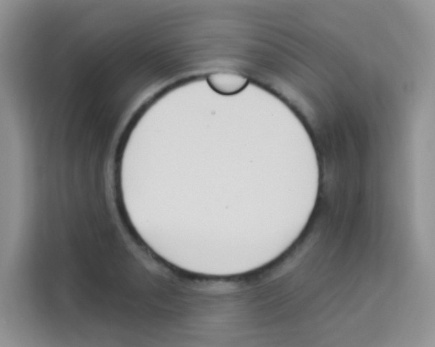 X0000113021085200910081155