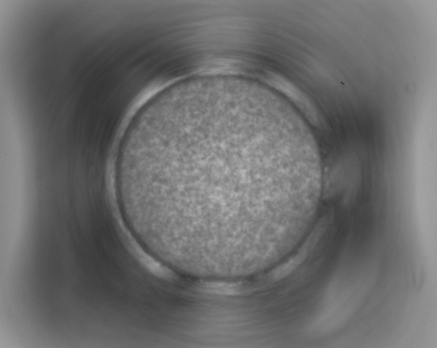 X0000113021086200910081155