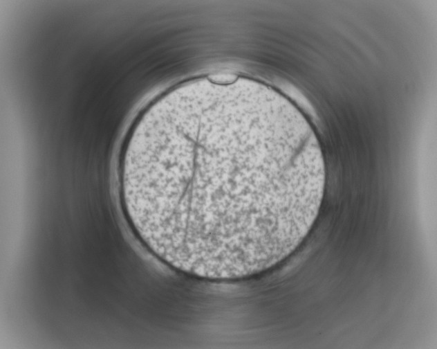 X0000113021088200910081155