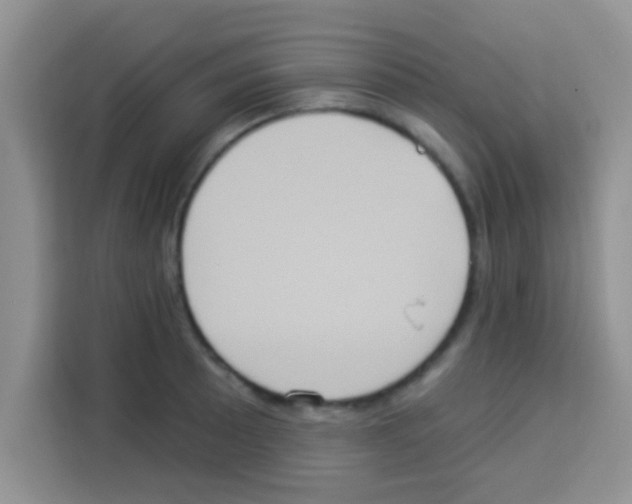 X0000113021089200910081155