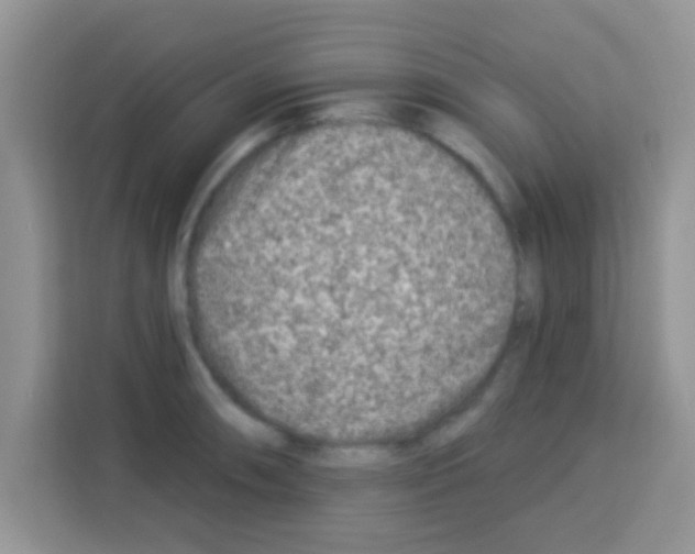 X0000113021090200910081155