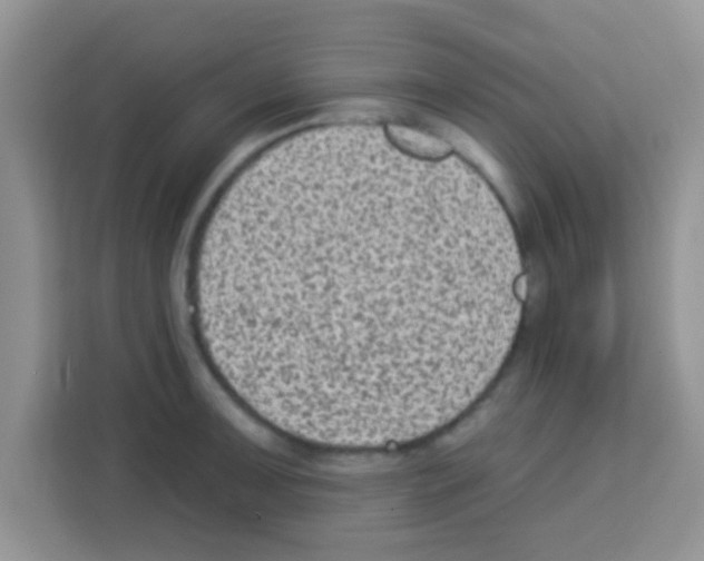 X0000113021091200910081155