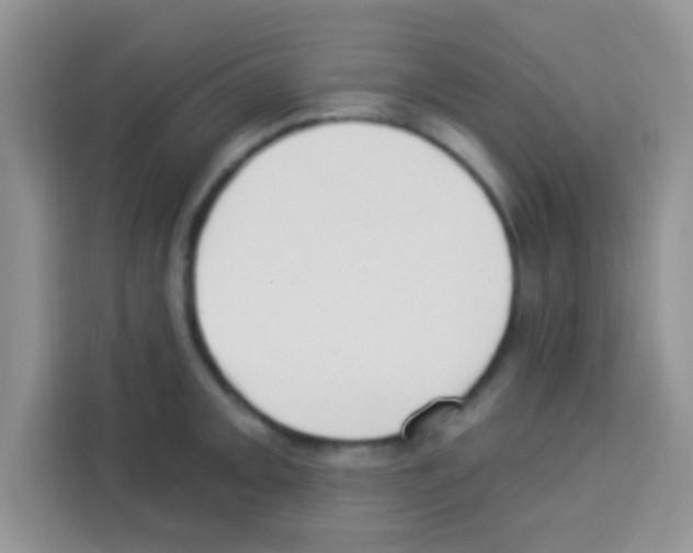 X0000113021093200910081155