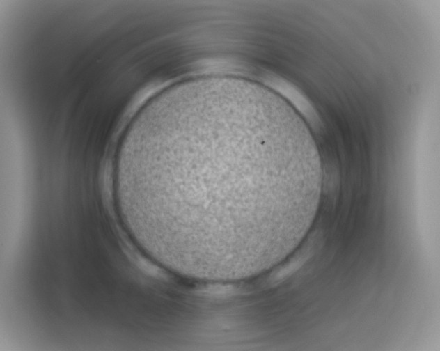 X0000113021094200910081155