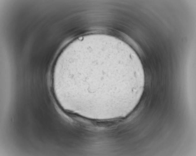 X0000113021095200910081155