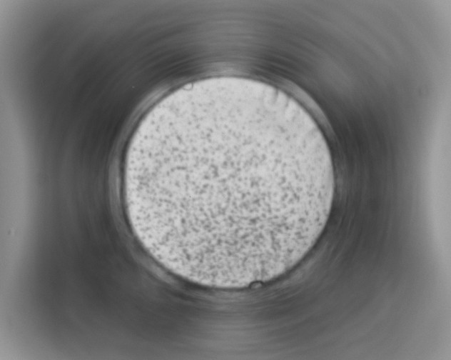 X0000113021096200910081155