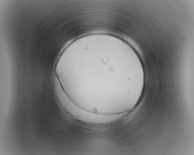 X0000113021097200910081155