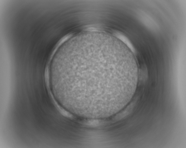 X0000113021098200910081155