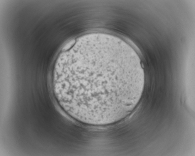 X0000113021100200910081155