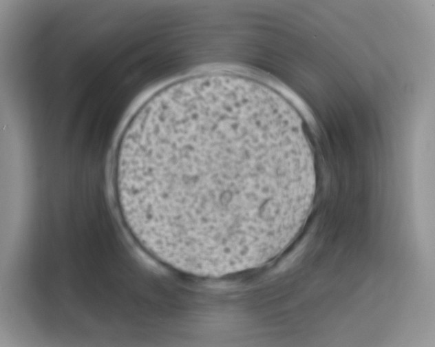 X0000113021102200910081155