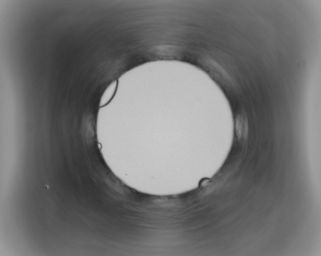 X0000113021107200910081154