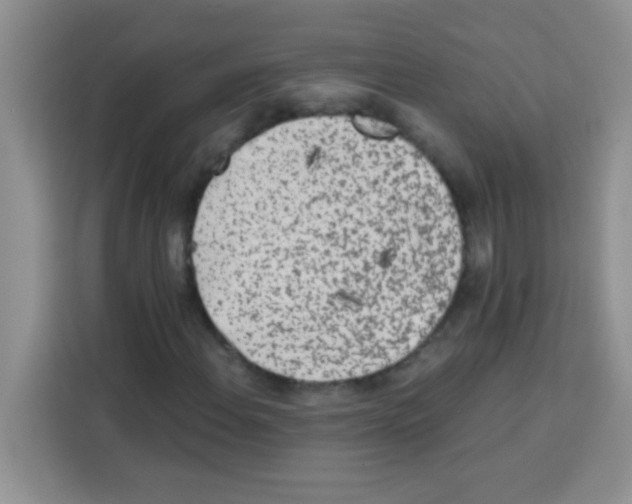 X0000113021108200910081154