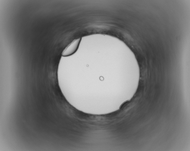 X0000113021109200910081154