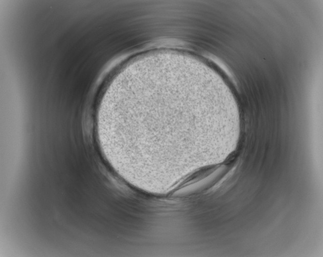 X0000113021115200910081154