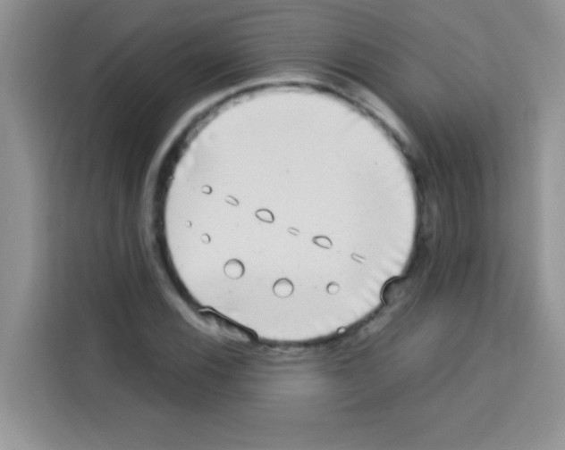 X0000113021116200910081154