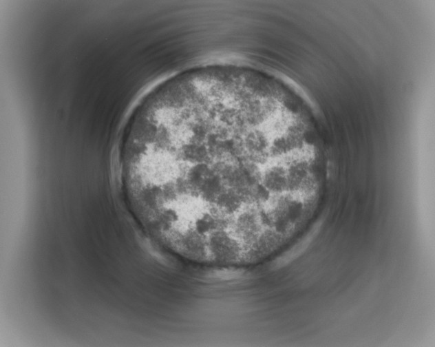 X0000113021117200910081154