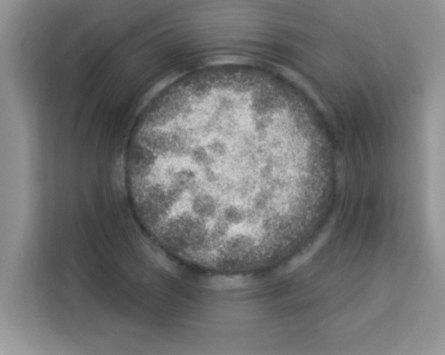 X0000113021121200910081154