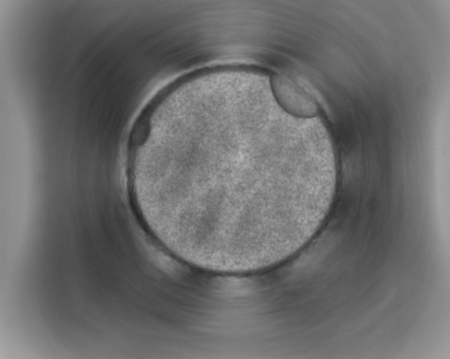 X0000113021124200910081154