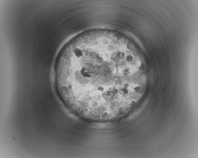 X0000113021125200910081154