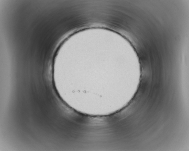 X0000113021126200910081154