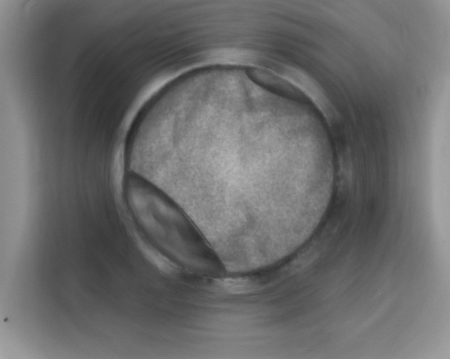 X0000113021128200910081154