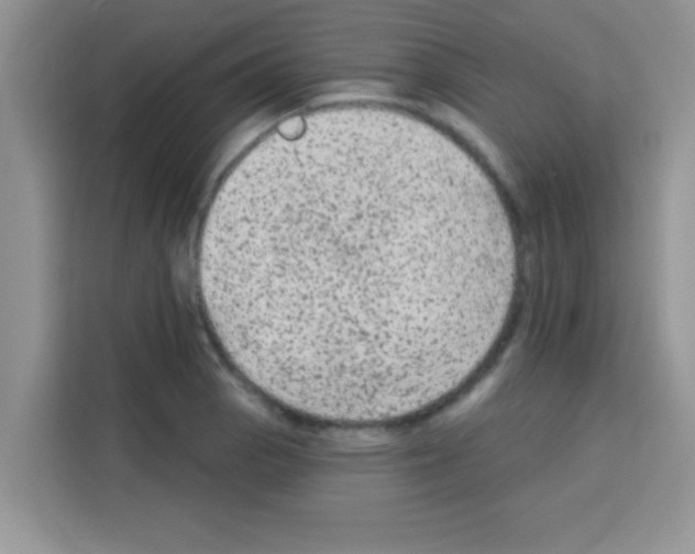 X0000113021129200910081154