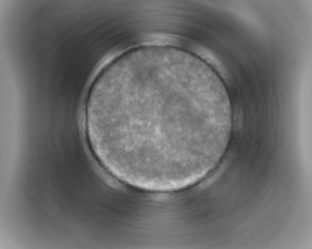 X0000113021130200910081154