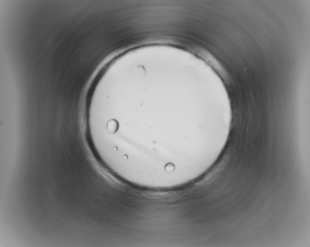 X0000113021132200910081154