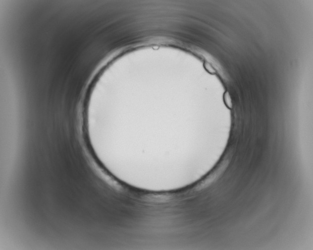 X0000113021134200910081154