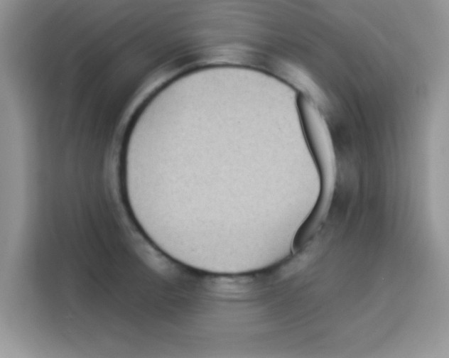 X0000113021138200910081154