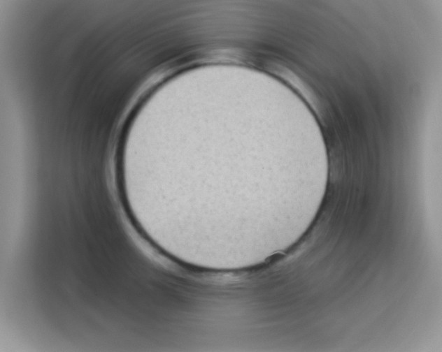 X0000113021139200910081154