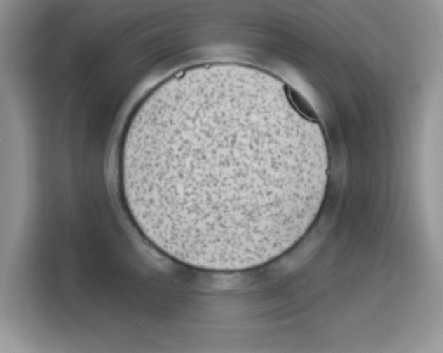 X0000113021144200910081154