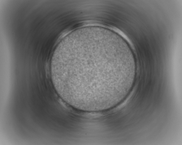 X0000113021145200910081154