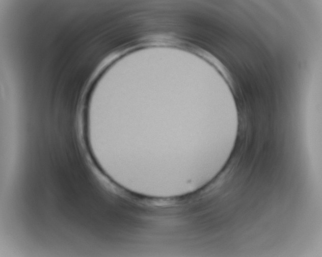 X0000113021147200910081154