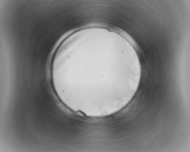 X0000113021148200910081155