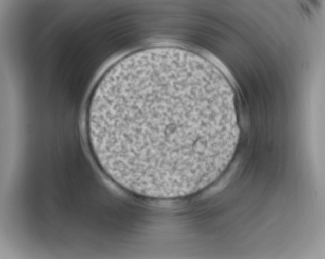 X0000113021149200910081155